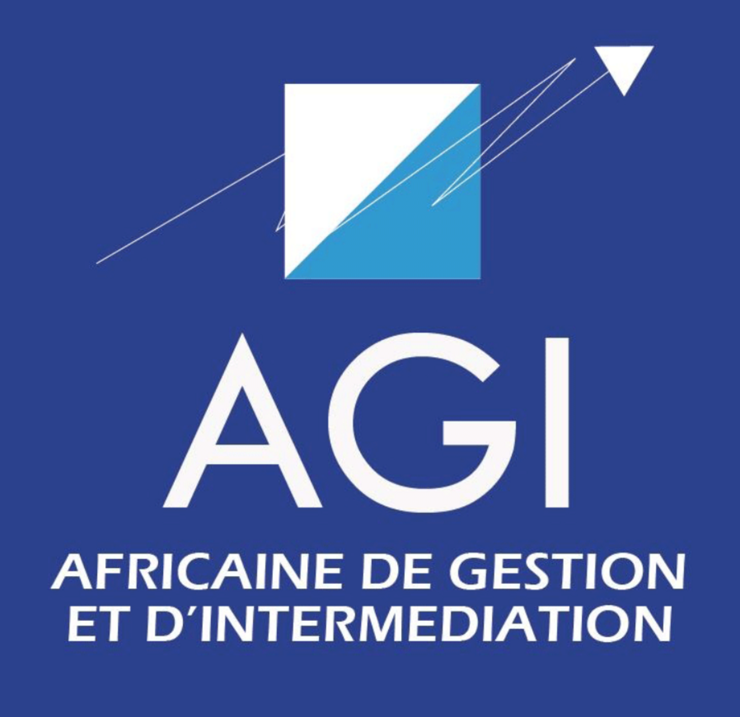 Africaine de Gestion et d'Intermédiation